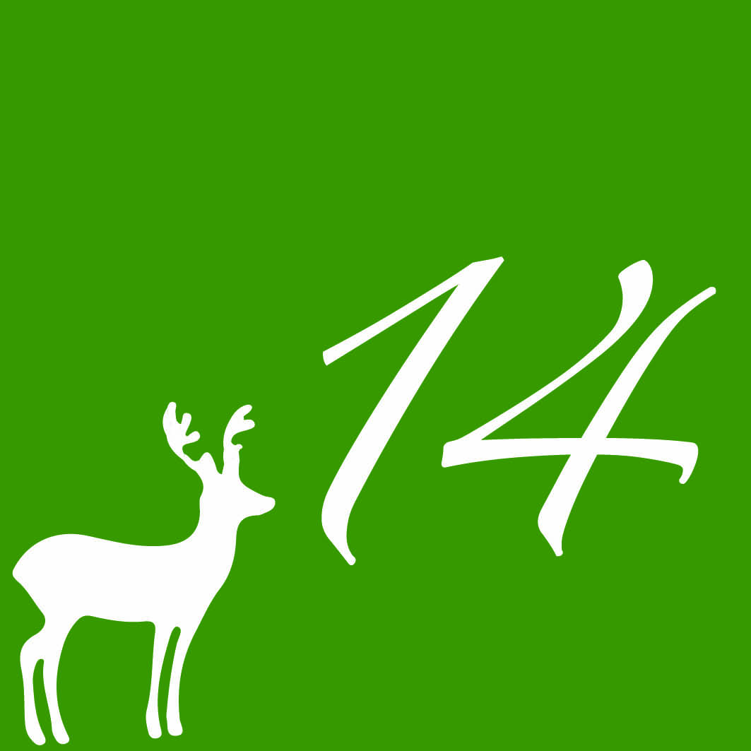 Adventskalender14