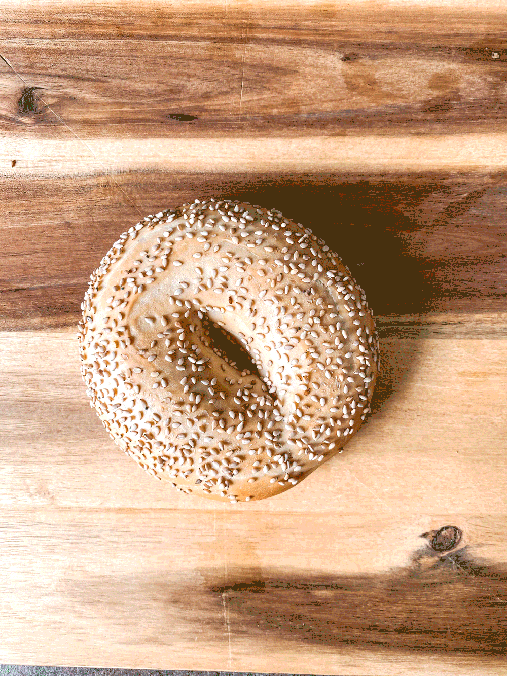 bagels bagels